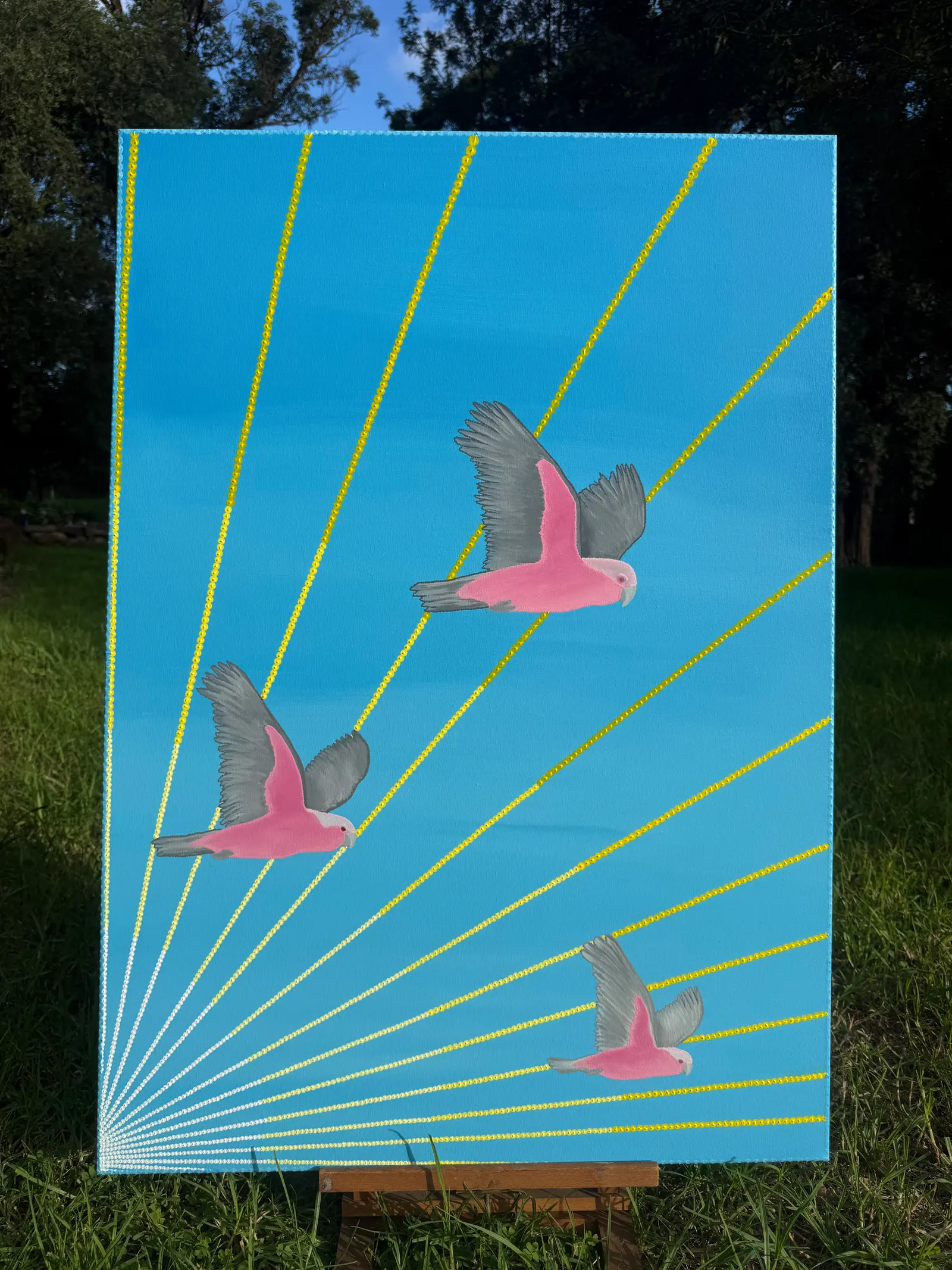 Galahs - 2